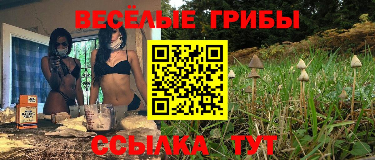 цены наркотик  Вход с VPN  Галлюциногенные грибы GOLDEN TEACHER  Мурманск  Псилоцибиновые грибы Psilocybe 
