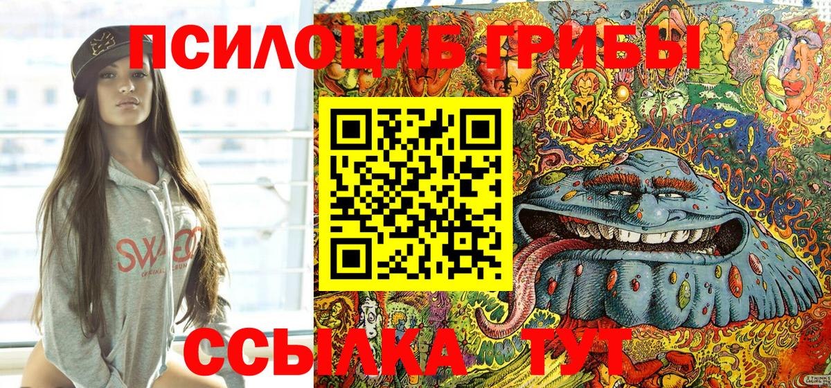Псилоцибиновые грибы Psilocybe Мурманск